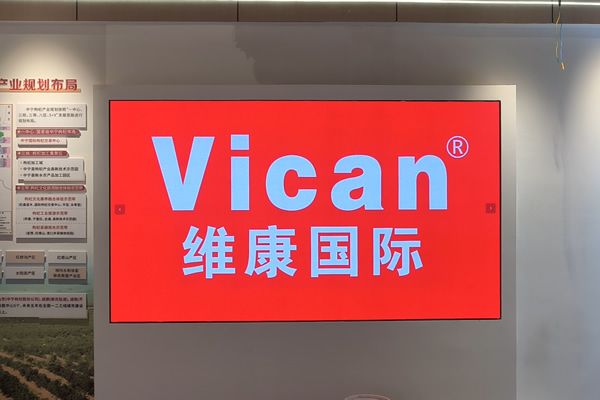 p1.86顯示屏多少錢一平？